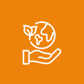 Et udvalg af vores grnnere rengringsmidler