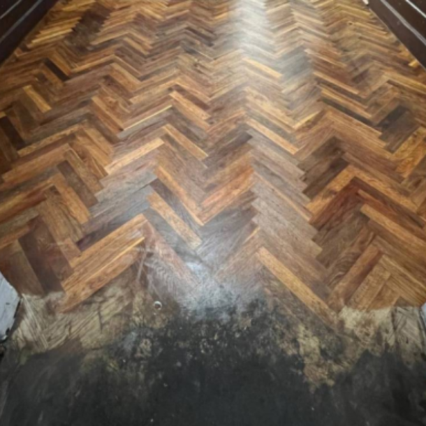 Arvox Pro Tr�rens, 2 x 1 ltr. s�t